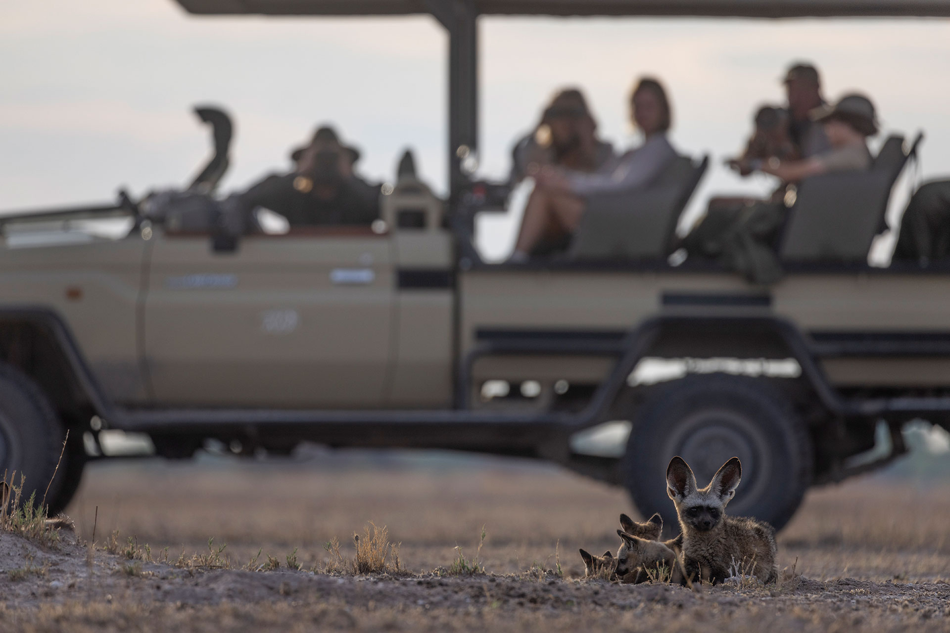 Our private mobile Botswana safari with Roger Dugmore Safaris